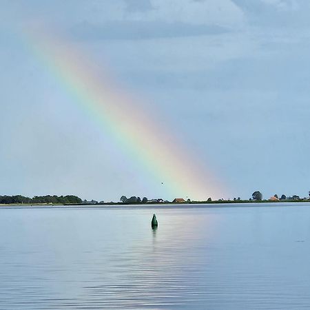 Welkom In Mijn Studio Bij Het Snekermeer ! Offingawier 外观 照片